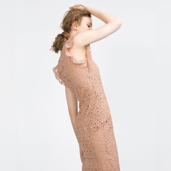 Zara Women’s Blush Pink Guipure Lace Knee Length Dress Size S - Picture 4 of 17